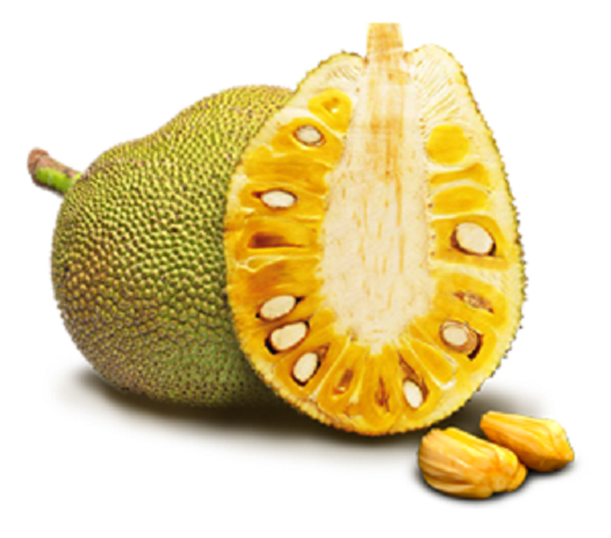 jackfruit - fenesi