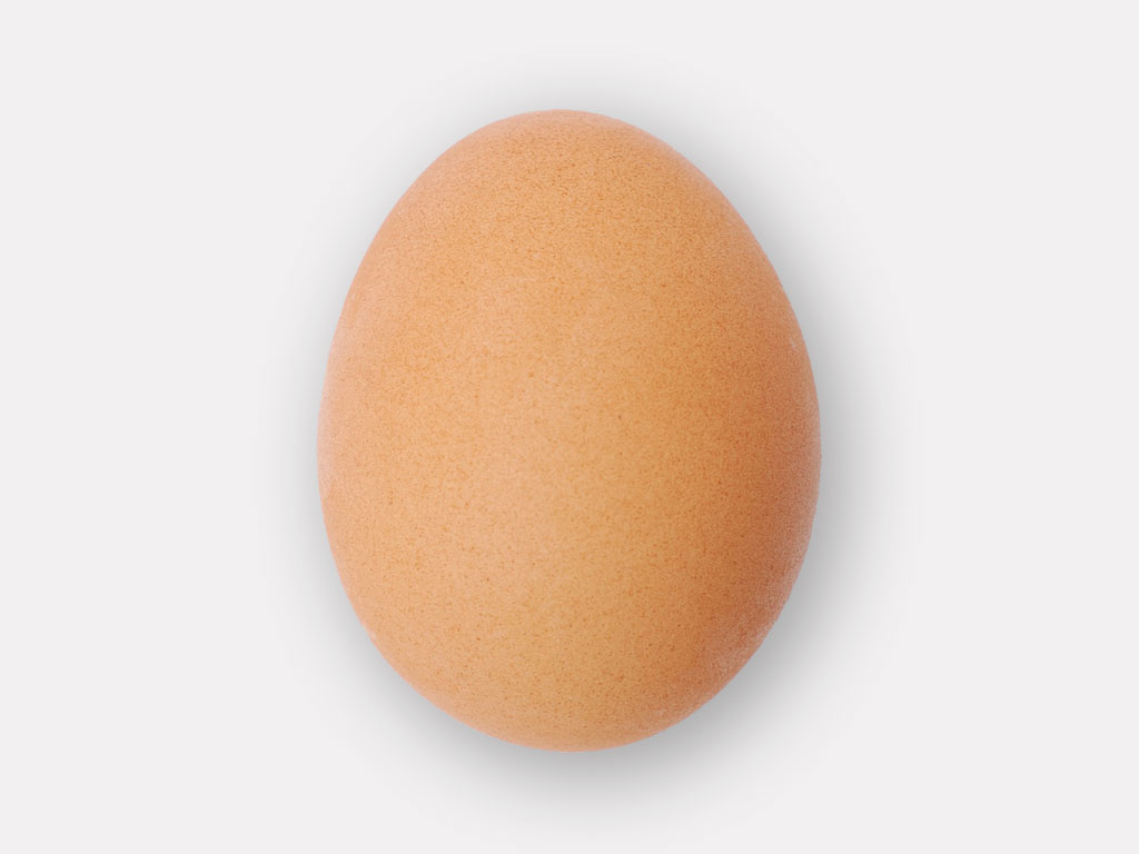 Egg - Yai