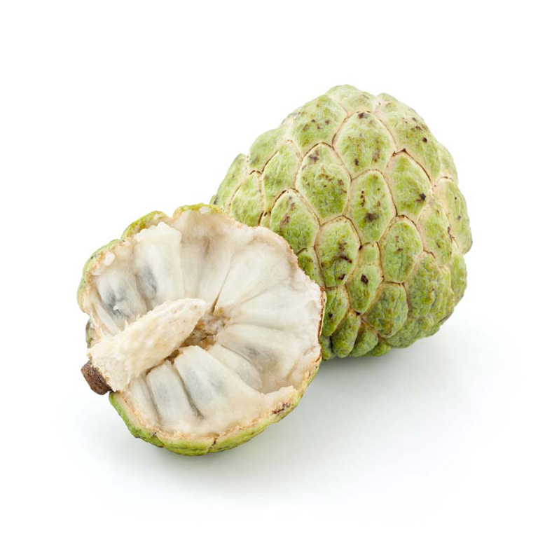 custard apple - tomoko