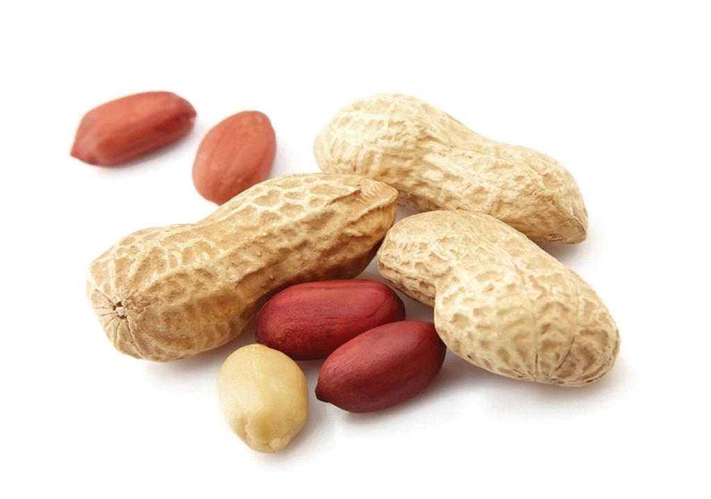 peanut - njugu